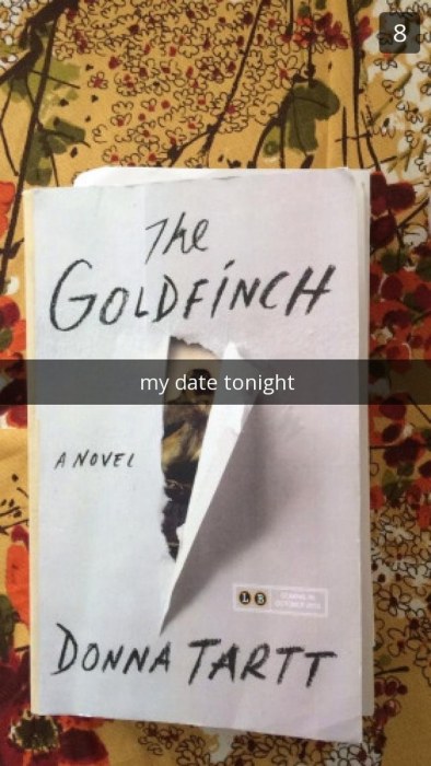 Snapchats That Only Book Lovers Will Understand (14 pics)