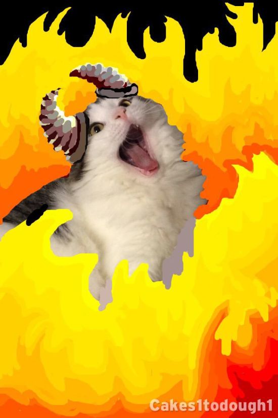 Snapchat And Cats Make A Hilarious Combination (17 Pics)