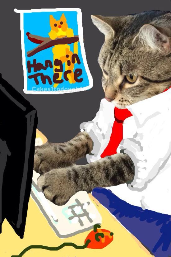 Snapchat And Cats Make A Hilarious Combination (17 Pics)