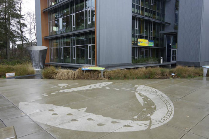 Seattle Artist Creates Street Art That Can Only Be Seen When It's Wet (7 pics)