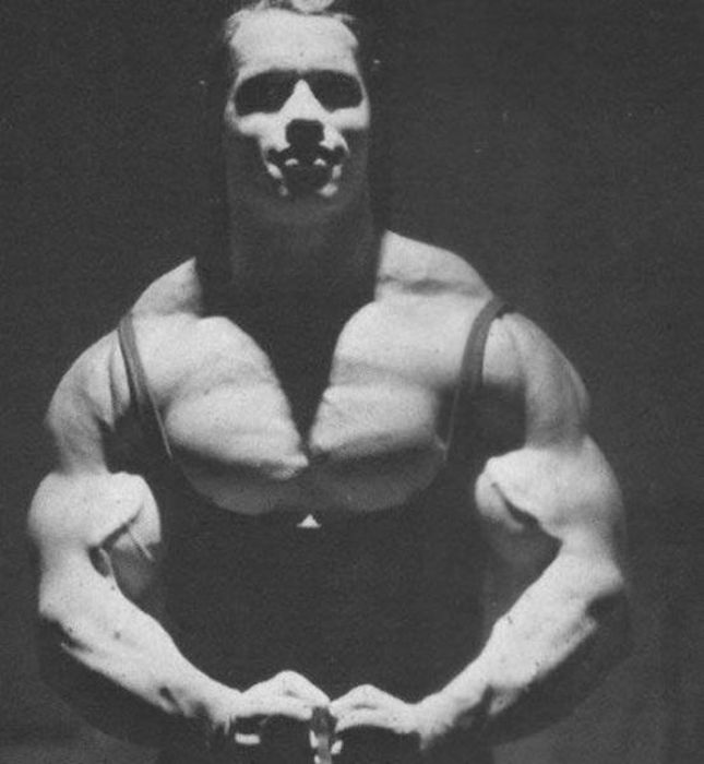 vintage arnold schwarzenegger