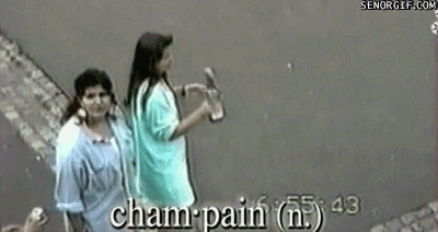 People Who Don't Know What It Means To Drink Responsibly (15 gifs)