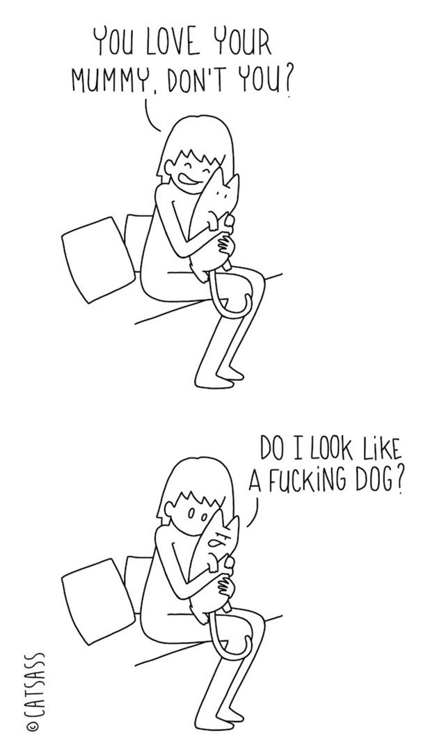 What Your Cat Is Really Trying To Tell You (14 pics)