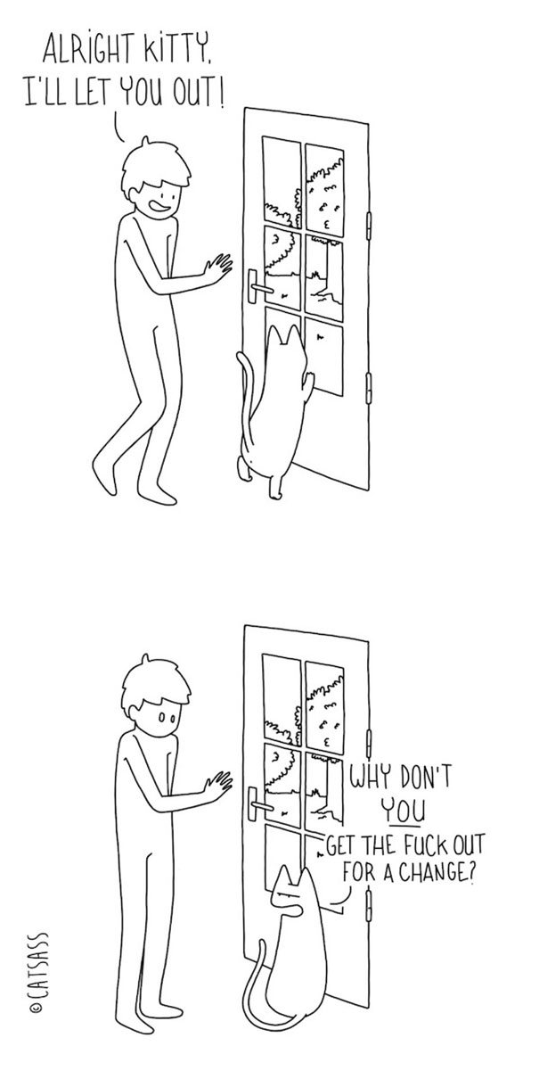 What Your Cat Is Really Trying To Tell You (14 pics)