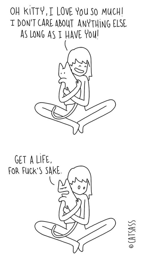 What Your Cat Is Really Trying To Tell You (14 pics)