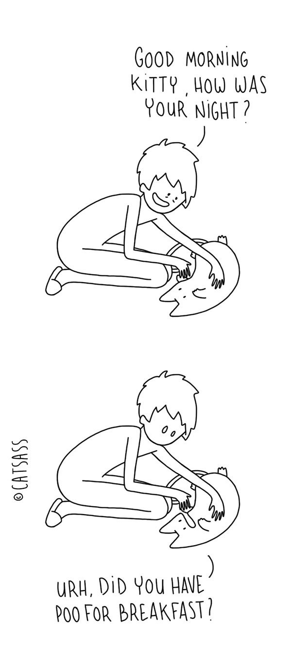 What Your Cat Is Really Trying To Tell You (14 pics)