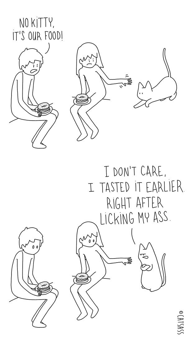 What Your Cat Is Really Trying To Tell You (14 pics)