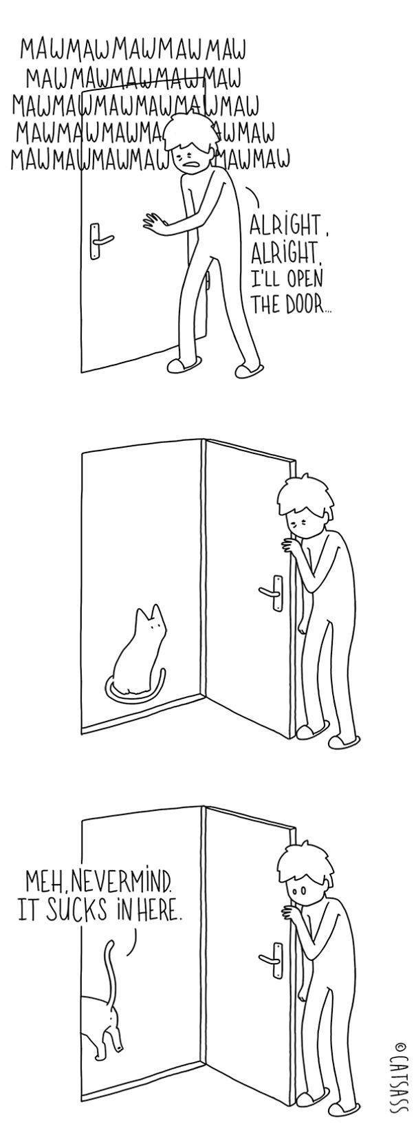 What Your Cat Is Really Trying To Tell You (14 pics)