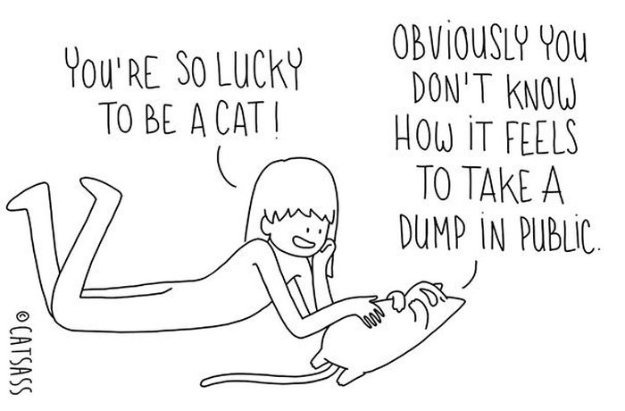 What Your Cat Is Really Trying To Tell You (14 pics)