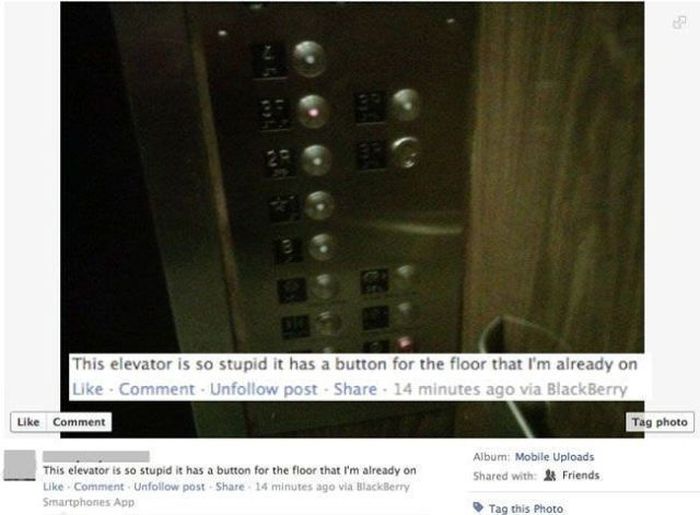 Somebody Needs To Ban These People From Facebook (44 pics)