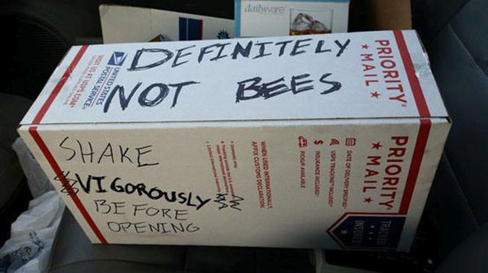 Oh Sh*t. Part 15 (47 pics)