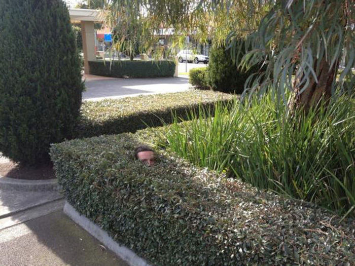 Oh Sh*t. Part 15 (47 pics)