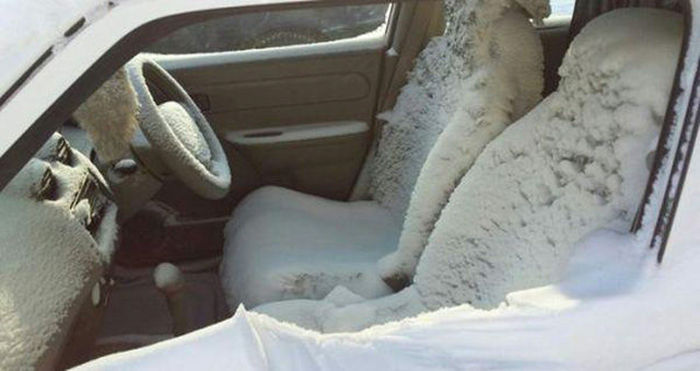 Oh Sh*t. Part 15 (47 pics)