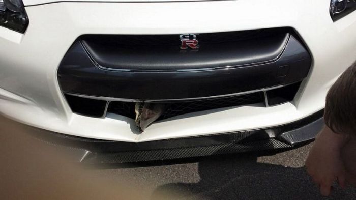 Turtle Survives After Getting Stuck In The Grill Of A Car (6 pics)
