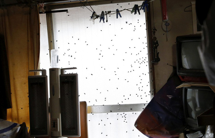 This Is The Most Depressing Job In The World (19 pics)