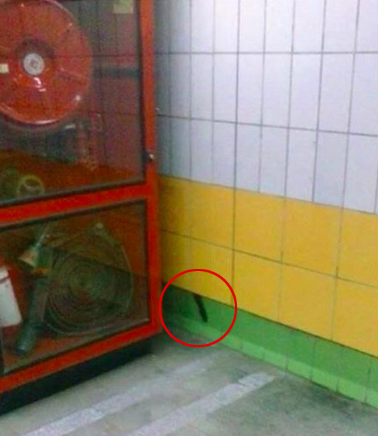 Cat Gets Stuck Behind A Subway Wall For Five Whole Years (6 pics)