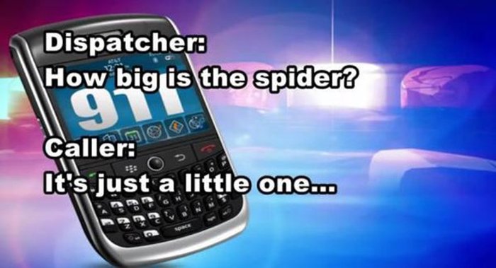 People Who Called 911 For The Wrong Reasons (19 pics)