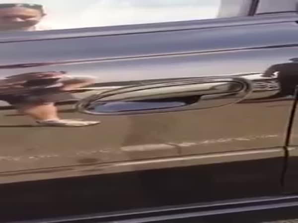 Spider Hiding In A Car Door Handle