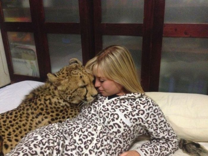 This Girl Is A Real Life Cheetah Whisperer (10 pics)