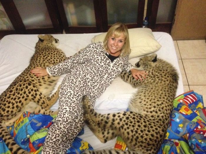 This Girl Is A Real Life Cheetah Whisperer (10 pics)