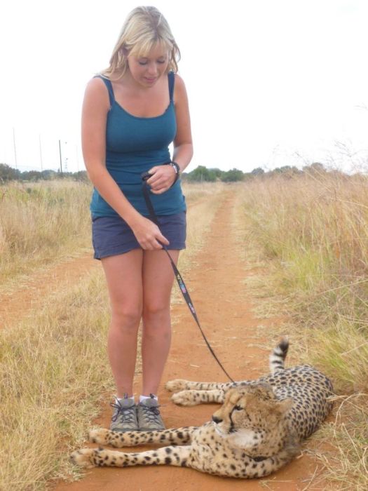 This Girl Is A Real Life Cheetah Whisperer (10 pics)