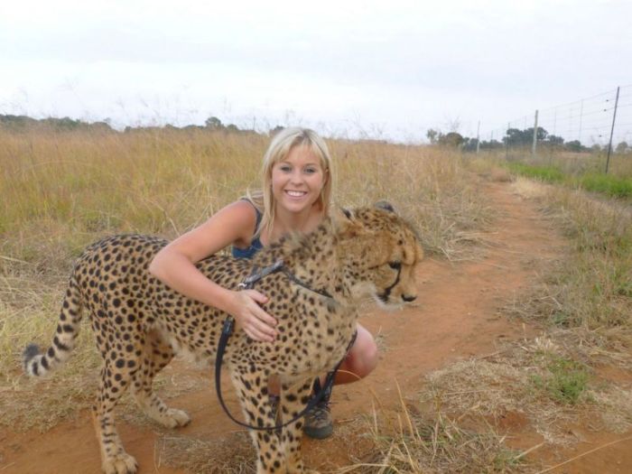 This Girl Is A Real Life Cheetah Whisperer (10 pics)