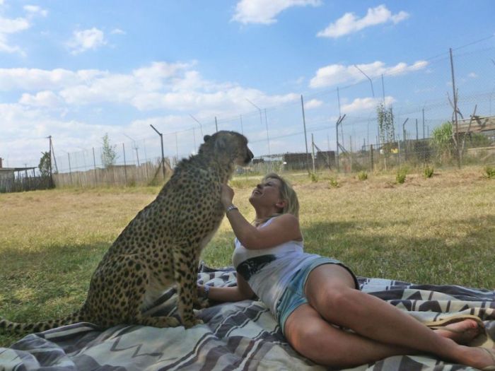 This Girl Is A Real Life Cheetah Whisperer (10 pics)