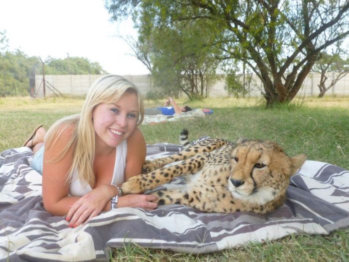 This Girl Is A Real Life Cheetah Whisperer (10 pics)