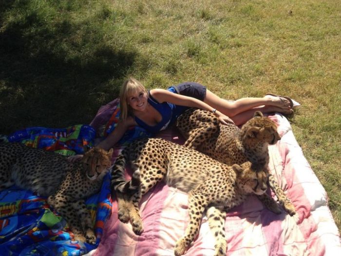 This Girl Is A Real Life Cheetah Whisperer (10 pics)