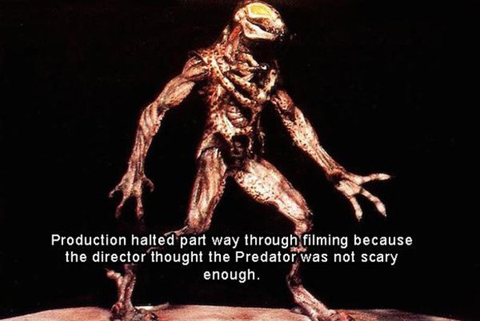 Fun And Interesting Facts About The Movie Predator (17 pics)