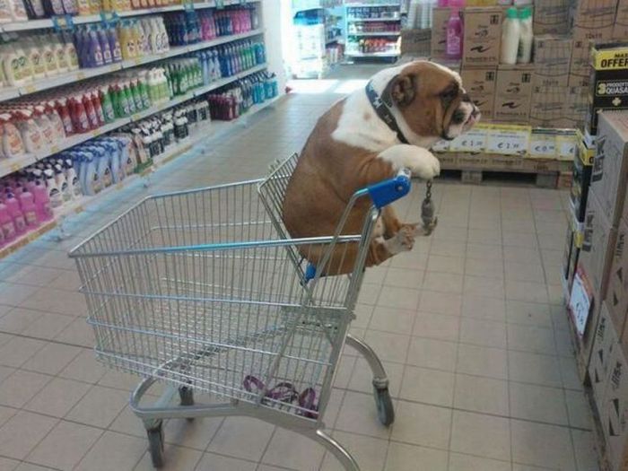 Acid Picdump (90 pics) Acid Picdump (90 pics)