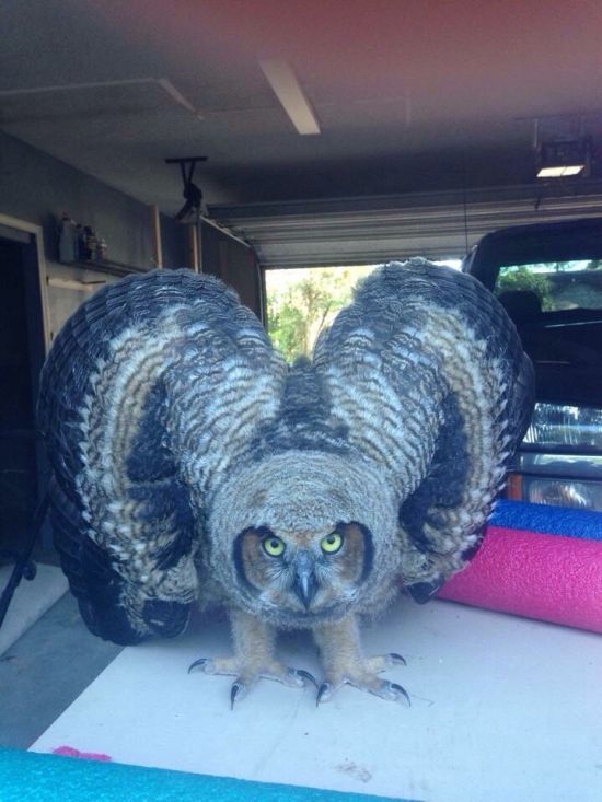 Acid Picdump (90 pics)