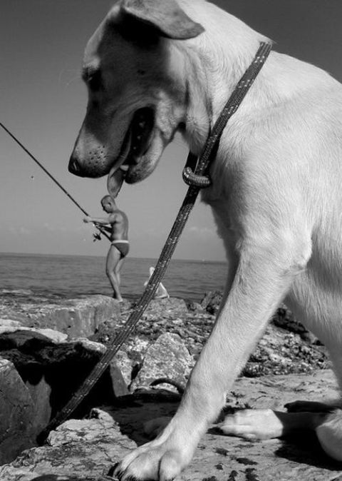 Acid Picdump (90 pics) Acid Picdump (90 pics)