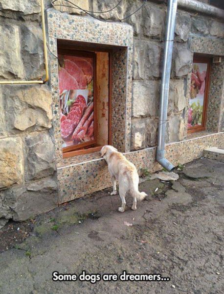 Acid Picdump (90 pics)