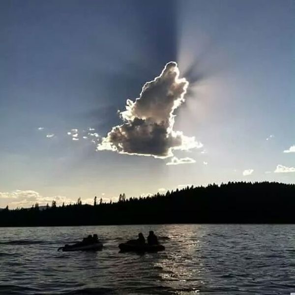 Acid Picdump (90 pics)