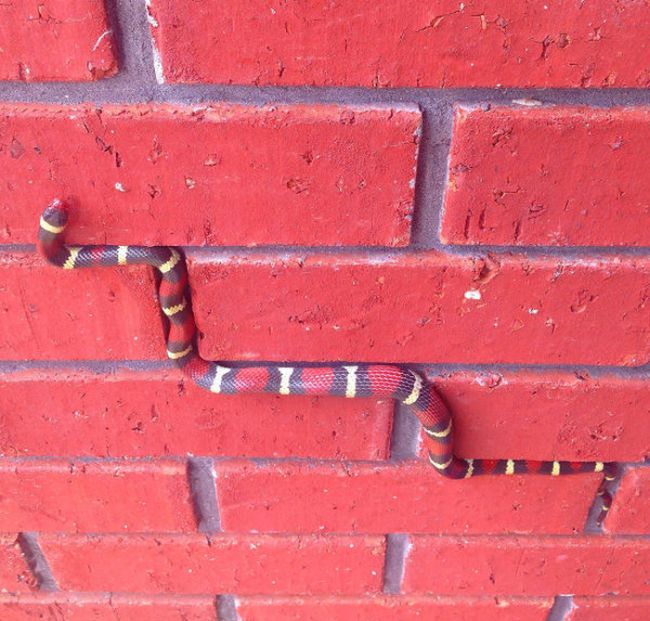 Acid Picdump (91 pics)
