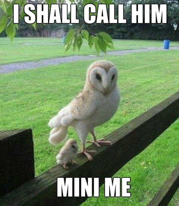 Acid Picdump (91 pics)