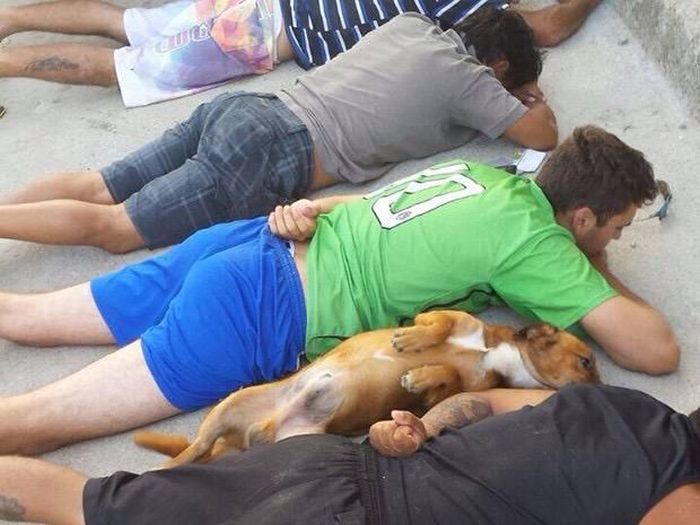 Acid Picdump (91 pics)