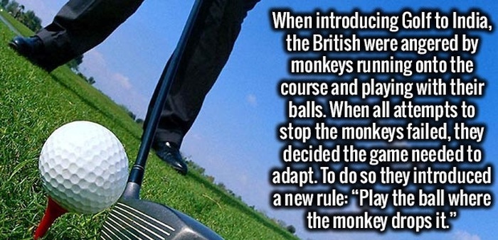 Fun And Interesting Facts That Your Brain Needs To Know (29 pics)