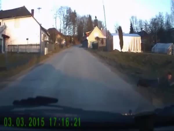 Dog Drags Boy