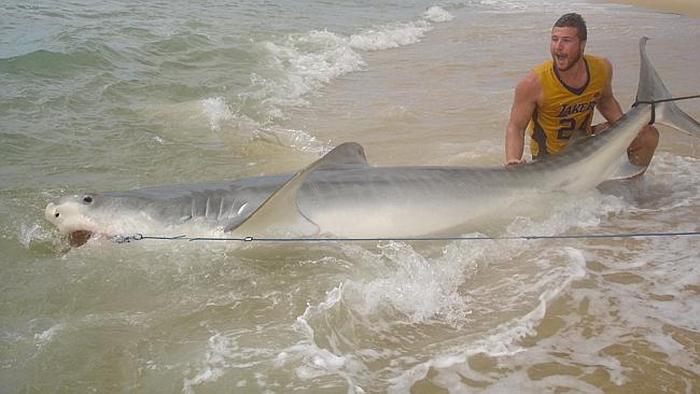Fisherman Wrestles With A Tiger Shark (5 pics)