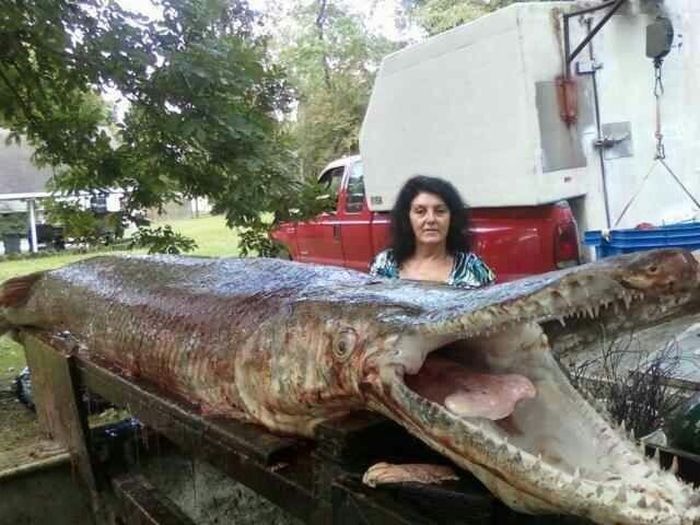 Acid Picdump (98 pics)