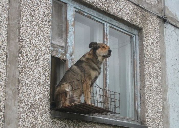 Acid Picdump (98 pics)