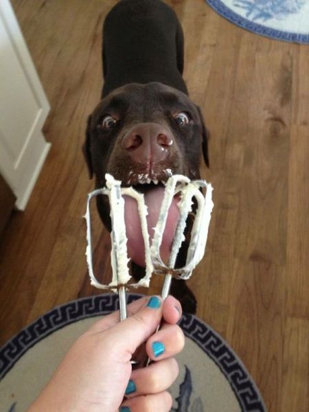 Acid Picdump (98 pics)