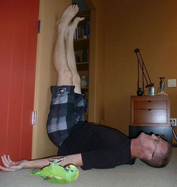 Acid Picdump (98 pics)