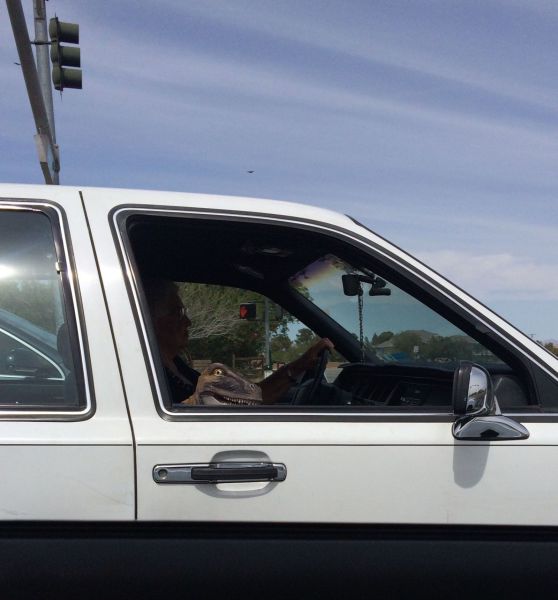 Acid Picdump (98 pics)