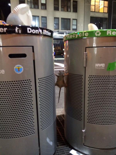Acid Picdump (98 pics)