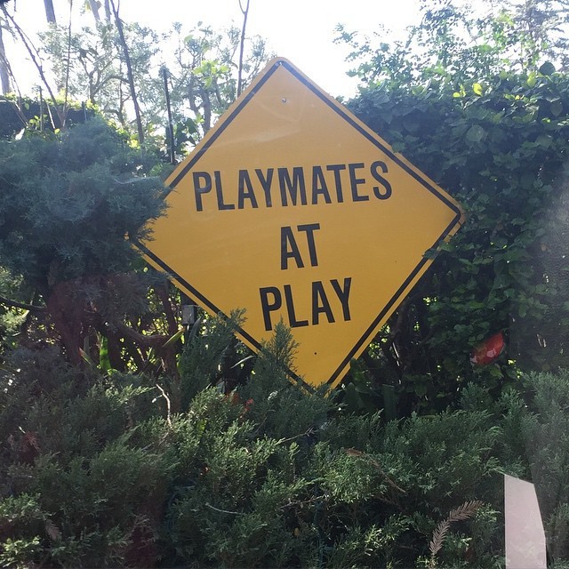 A Look At Life Inside The Playboy Mansion (32 pics)