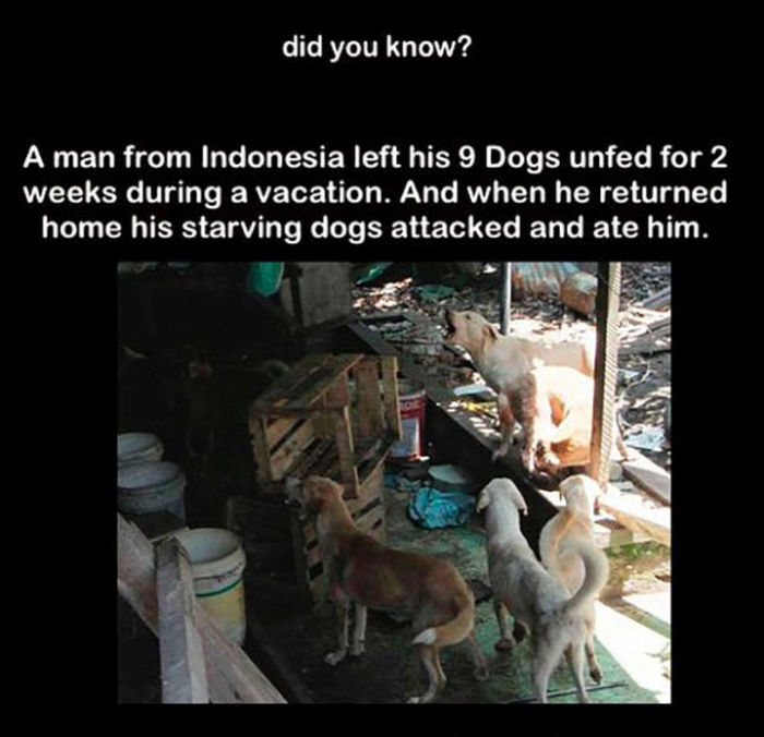 Random And Interesting Facts To Amuse Your Brain (32 pics)