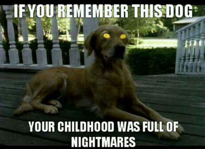 Trip Down Memory Lane. Part 38 (38 pics)